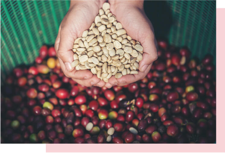 Our Journey Begins at the Source